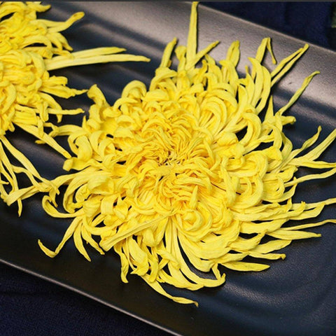Emperor Chrysanthemum - Box of 20 - TEAMOO