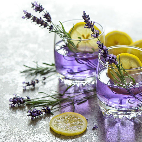 Simple Tea - TEAMOO