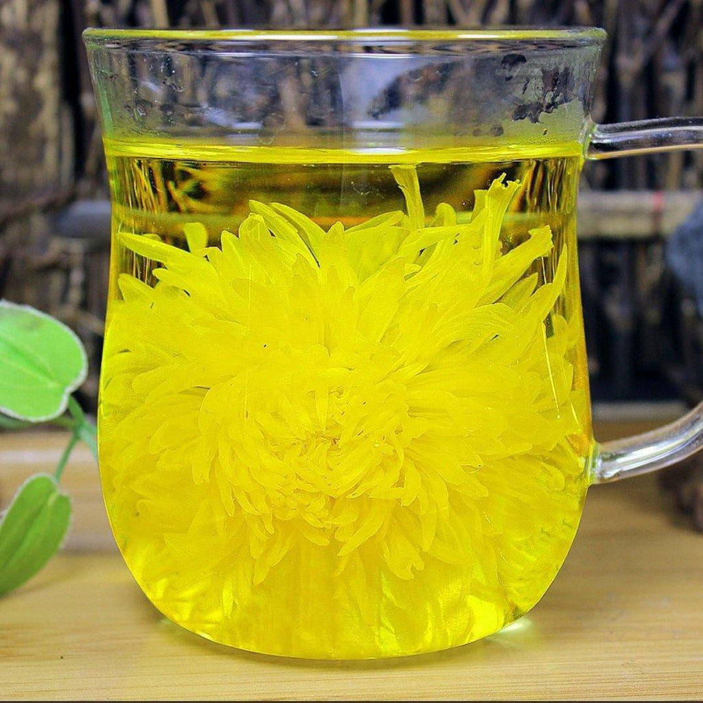 Chrysanthemum Tea Health Benefits