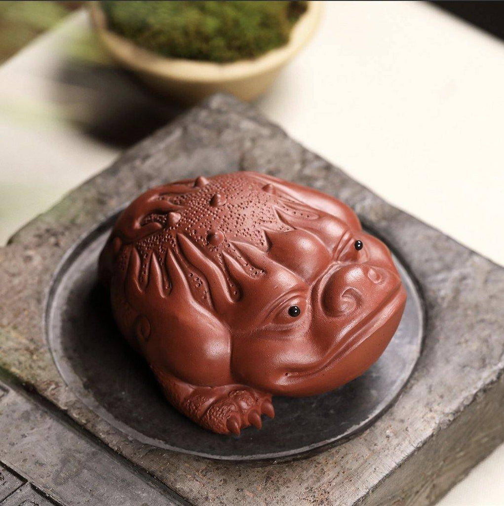 Golden Frog Red Clay Tea Feature - TEAMOO