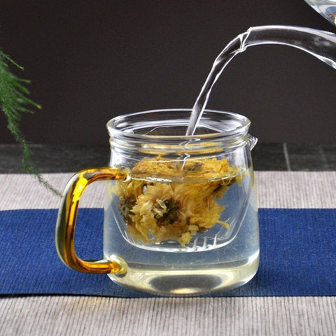 Portable Glass Tea Set - TEAMOO