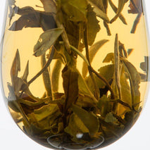 Vintage White Tea Rare Collection - 50g - TEAMOO